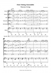 Pizzicato Strings (Streicher und Klavier) - Set