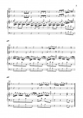 Concertino in B - Partitur (MWV IX/29)