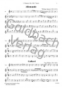 Ensemblemusik der Renaissance - 3. Stimme (Alt, Alt 2, Tenor)
